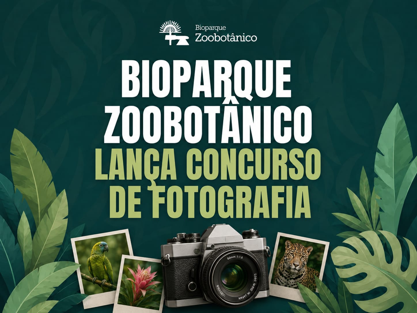 Bioparque Zoobot�nico lan�a concurso de fotografia e vai premiar melhores registros da fauna e flora em Teresina